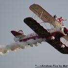 ***Lady Wingwalk***