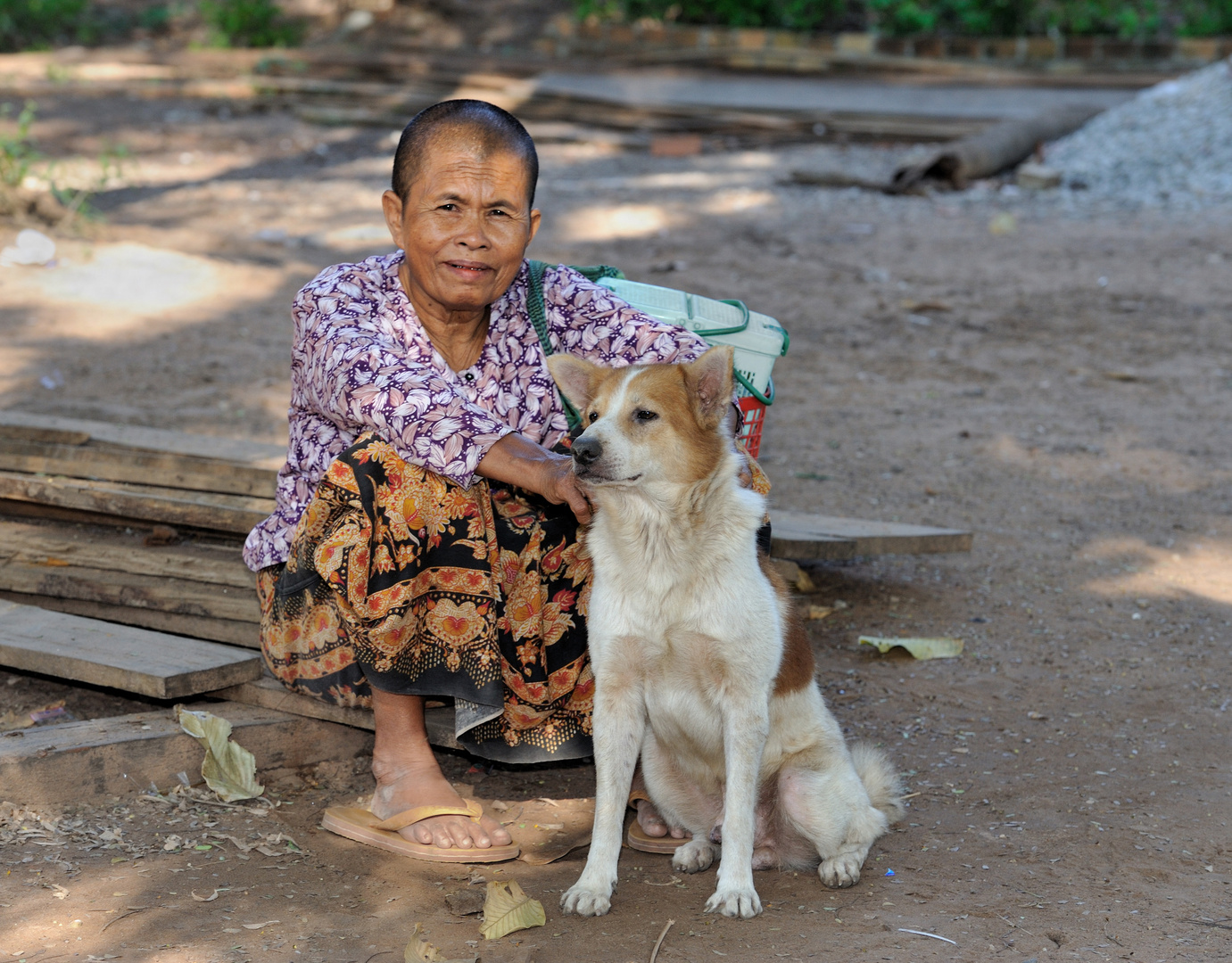 Lady with a dog