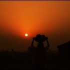 Lady working at a farm