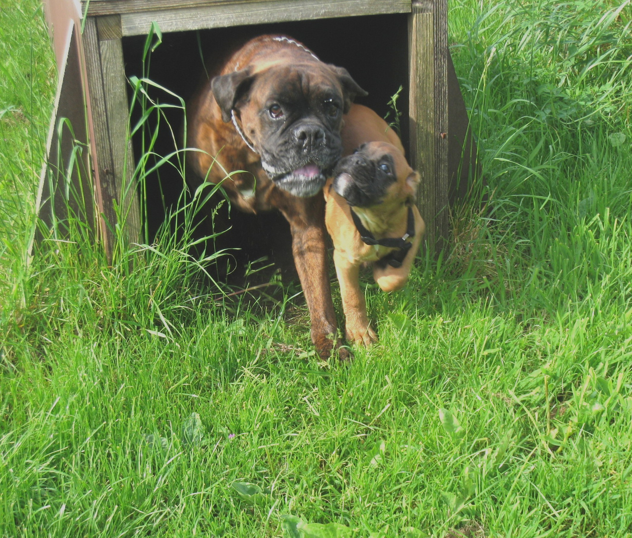 Lady zeigt Ronja wie man durch einen Tunnel geht