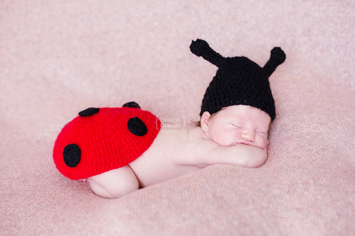 ladybug newborn
