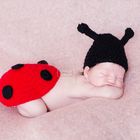 ladybug newborn