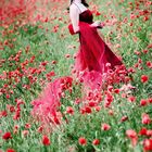 lady_in_red