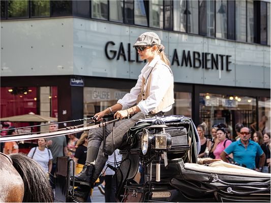 Ladylike auf dem Fiaker