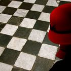 Lady's Chessboard
