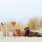 Lady's on the Beach .....