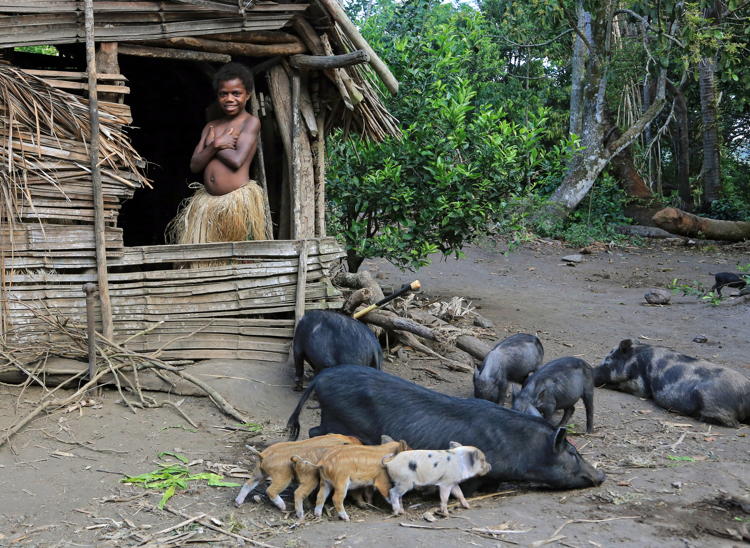 Ladys von Yakel-Tanna-Vanuatu