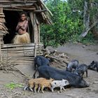 Ladys von Yakel-Tanna-Vanuatu