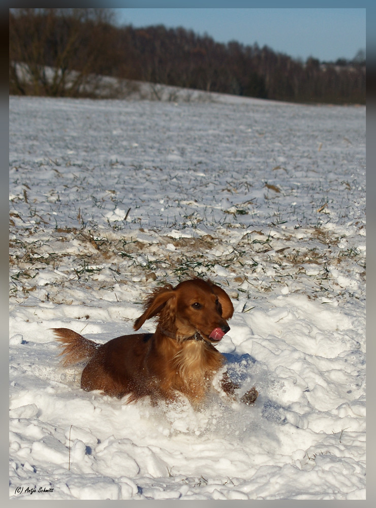 lääcker Schnee......