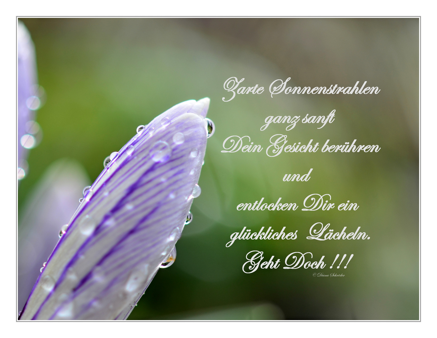 Download Laechel mal bilder For iPhone Laechel Mal Bilder