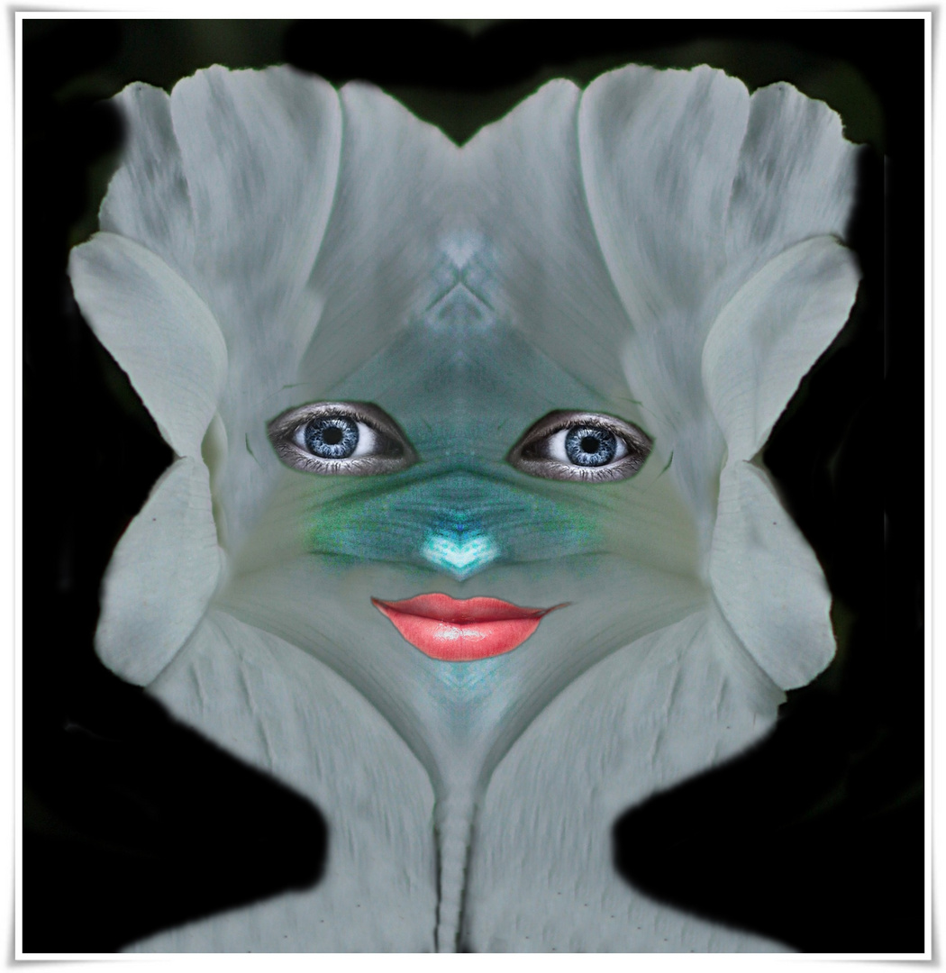 Get Laechel mal wieder For Free