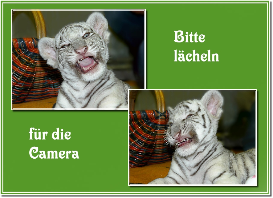 Lächeln für die Camera