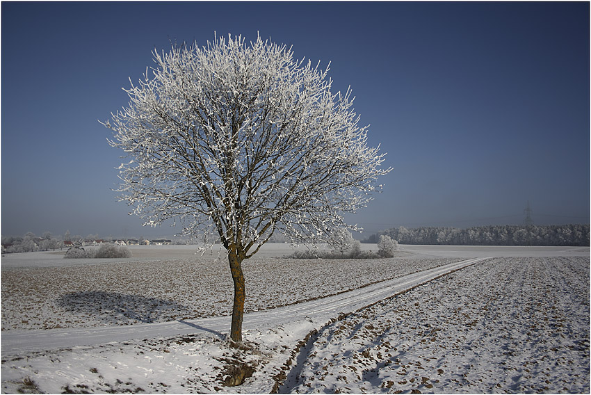 lädt ein zum Winterspaziergang.......