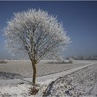 lädt ein zum Winterspaziergang.......