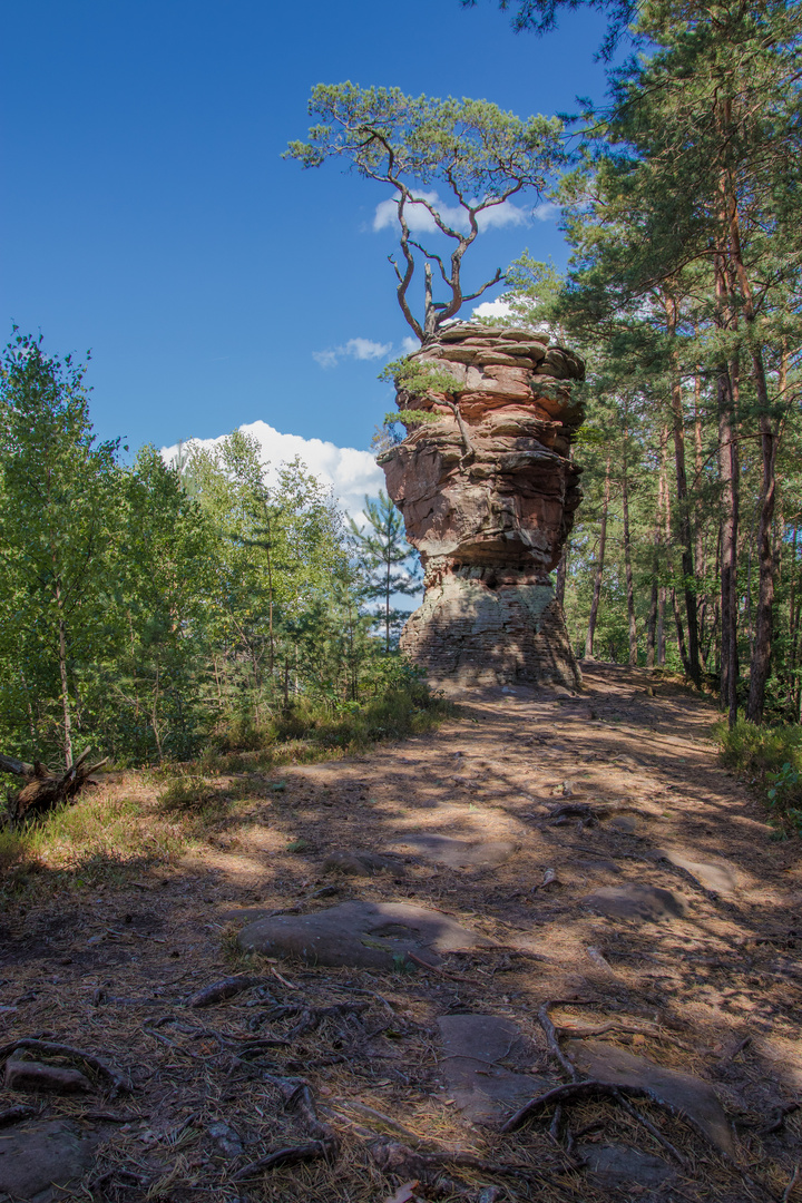 Lämmerfelsen