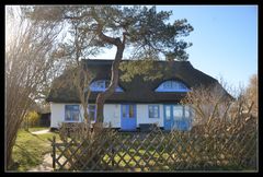 Ländlich in Vitte/ Insel Hiddensee 
