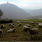 ländlich  mit  Burg