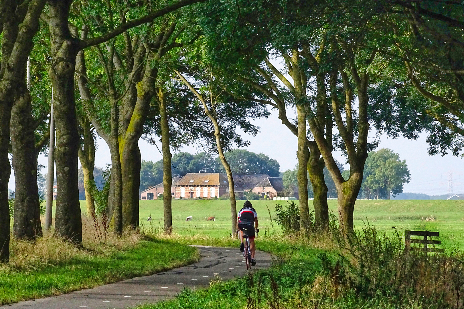 Ländliche Durchblick