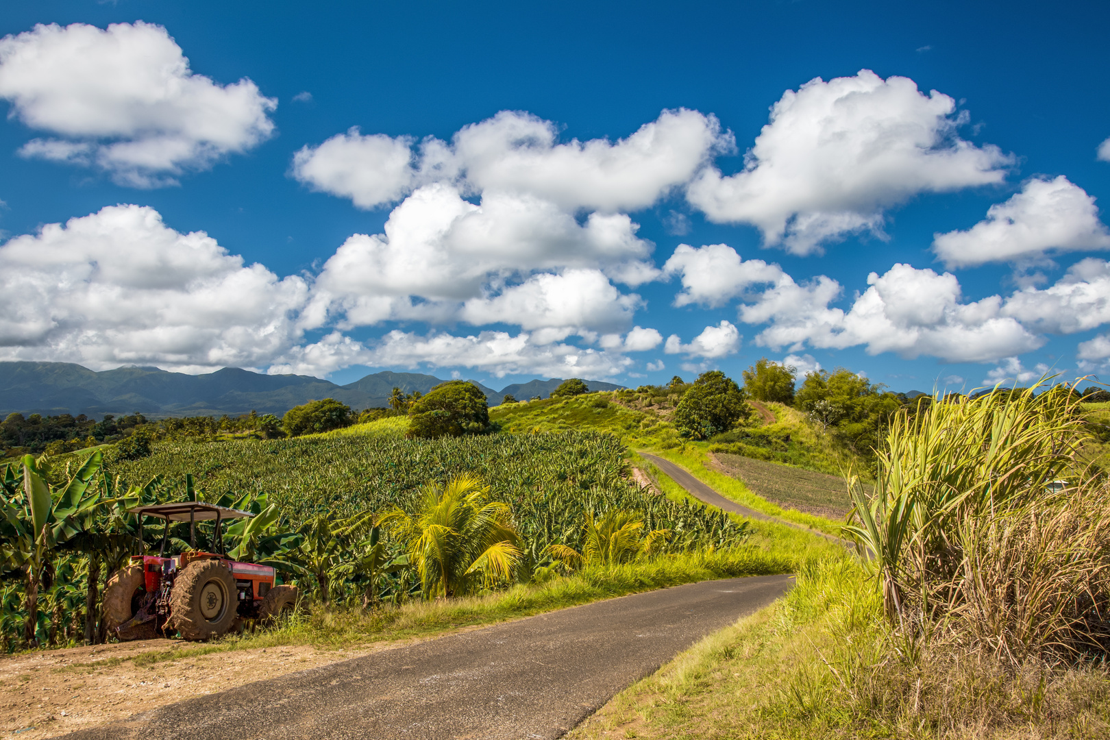 Ländliche Gegend auf Guadeloupe