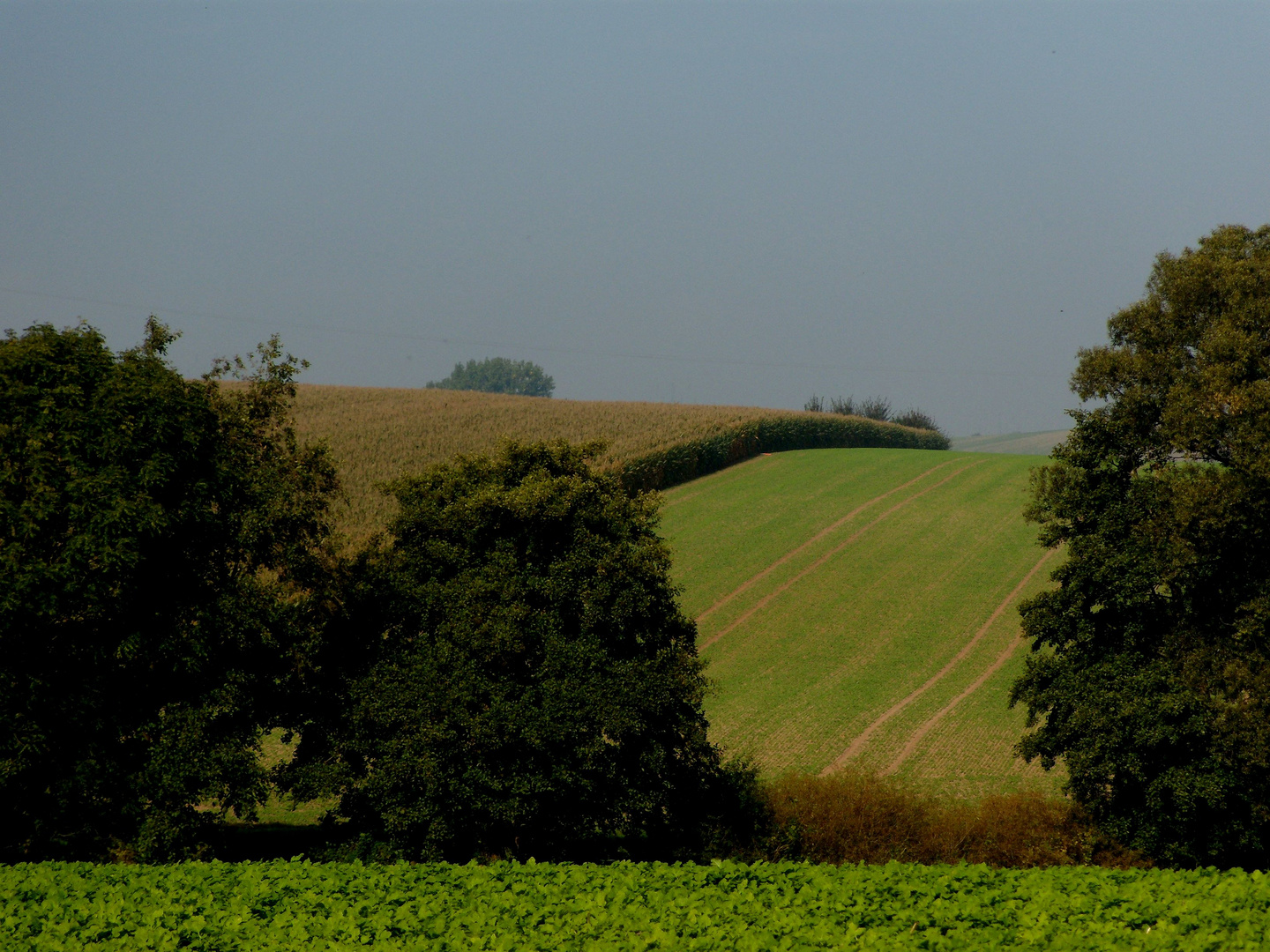 Ländliche Herbstlandschaft in Südniedersachsen bei Hollenstedt / Northeim.