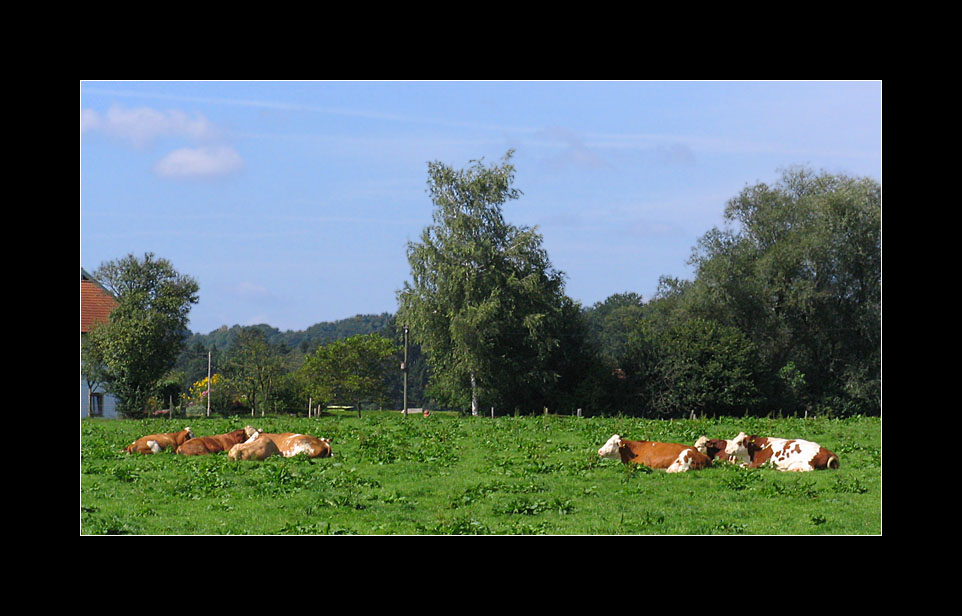 laendliche Idylle...