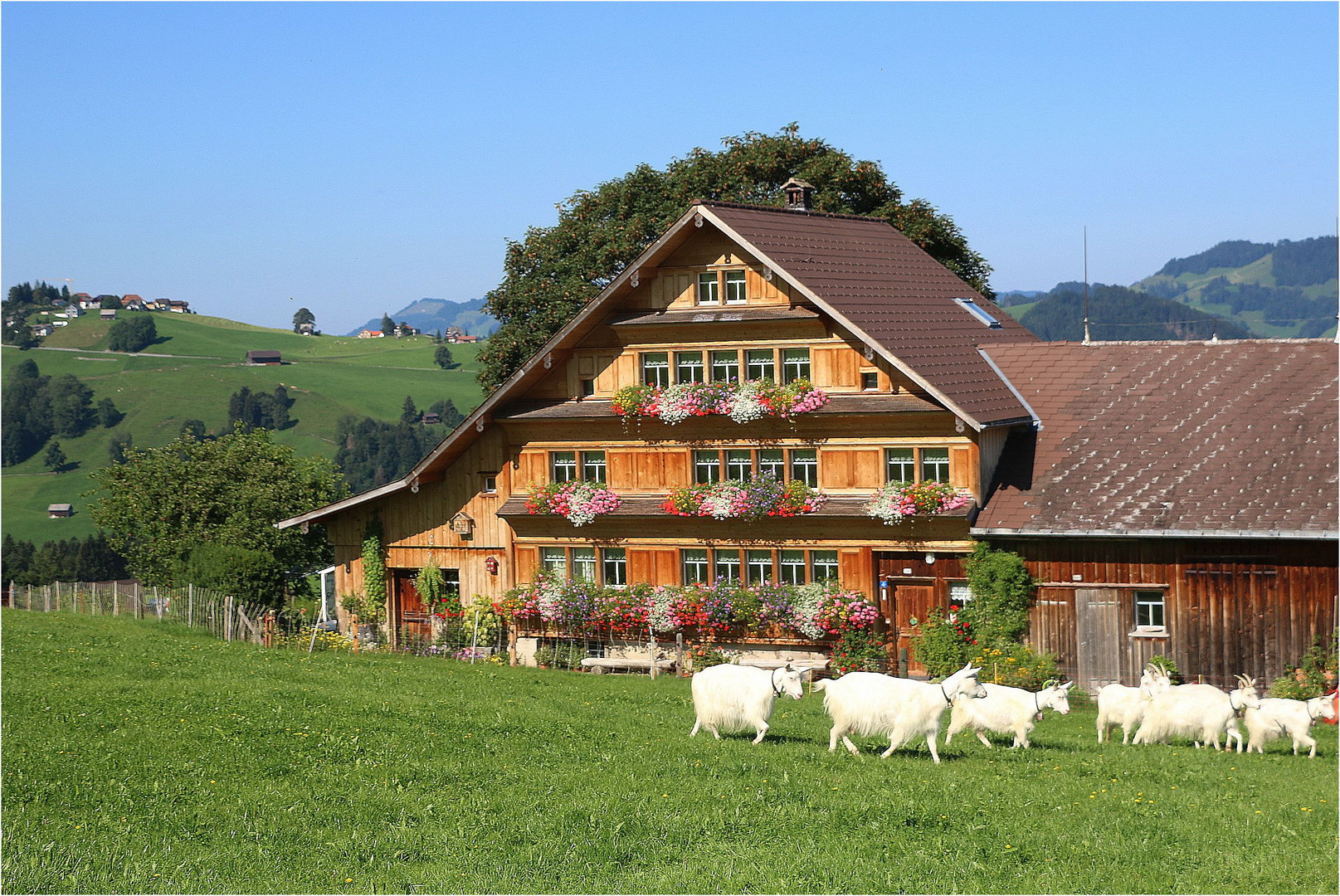 Ländliche Idylle