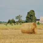 Ländliche Idylle