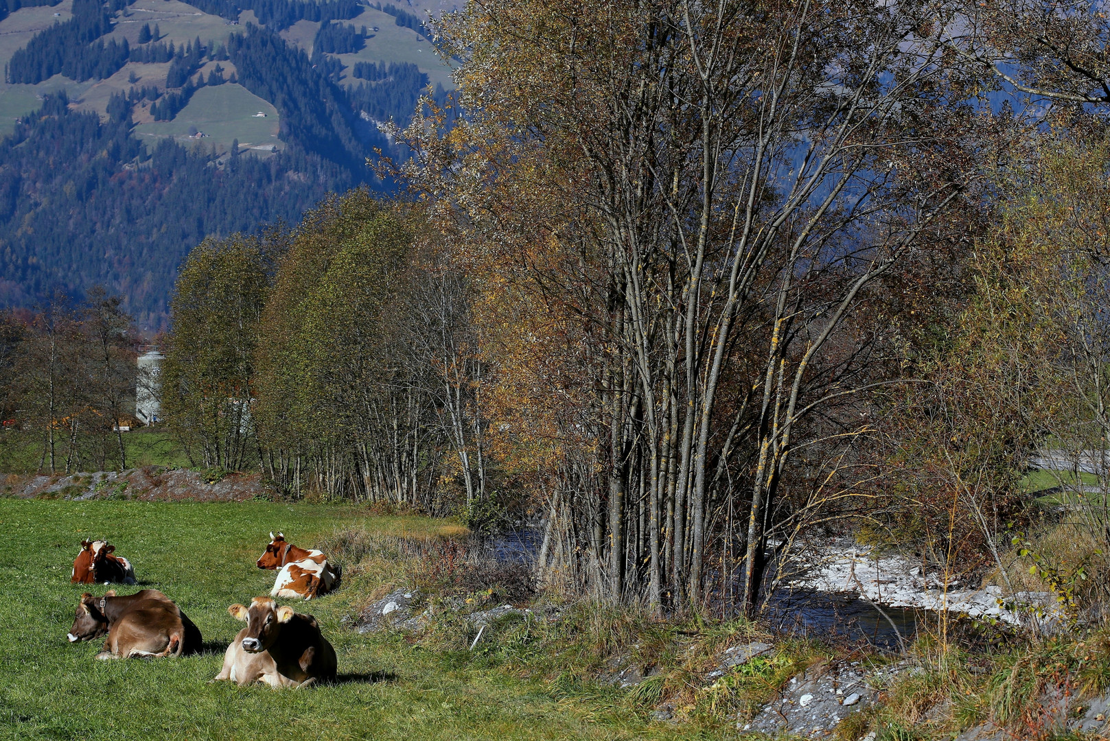 Ländliche Idylle Foto & Bild natur, herbst, landschaft Bilder auf