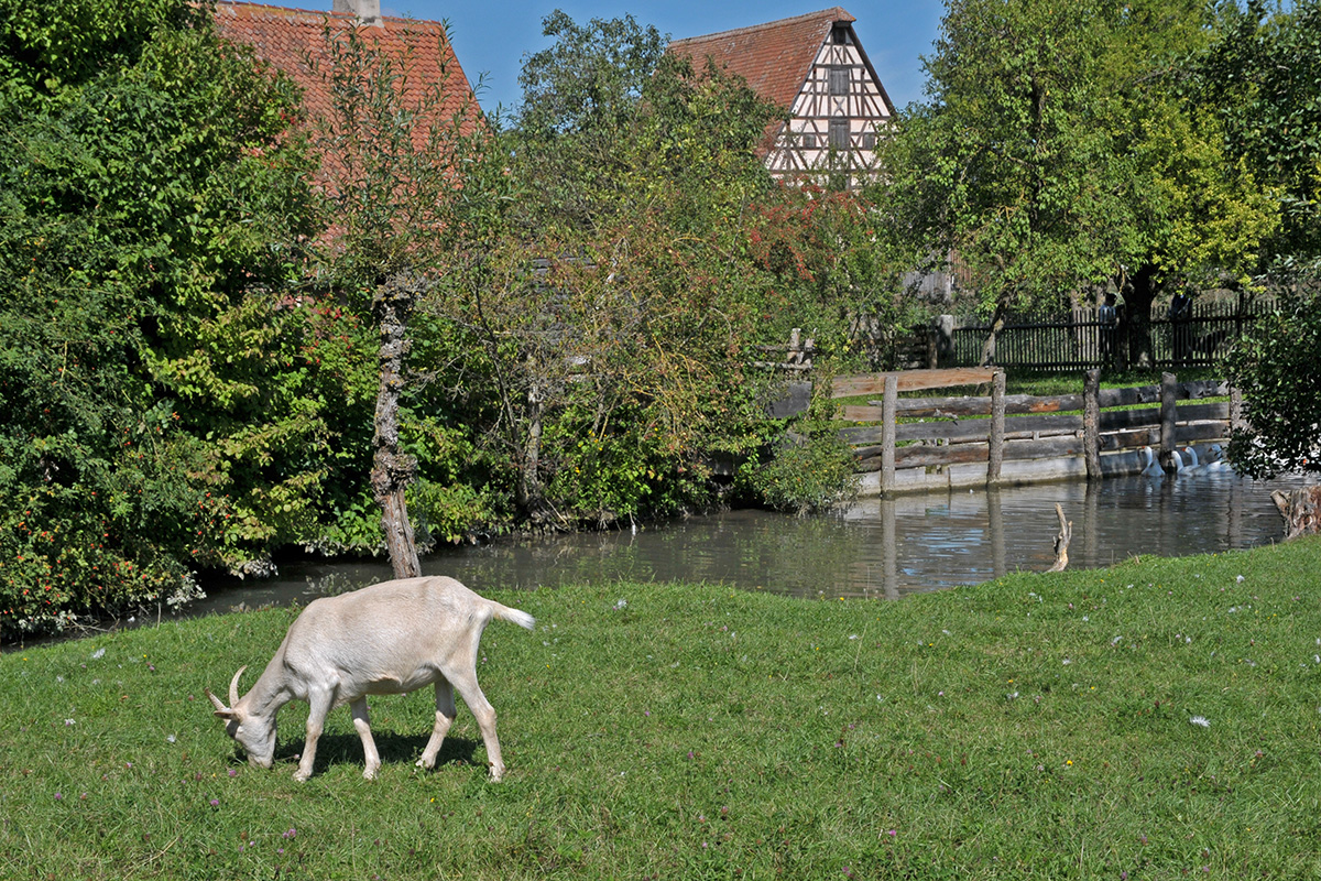 Ländliche Idylle