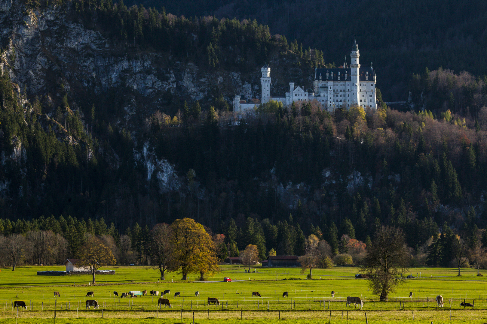 Ländliche Idylle....