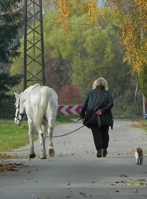 Ländliche Idylle...