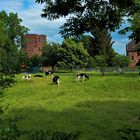 ländliche Idylle am Schloss Hambach