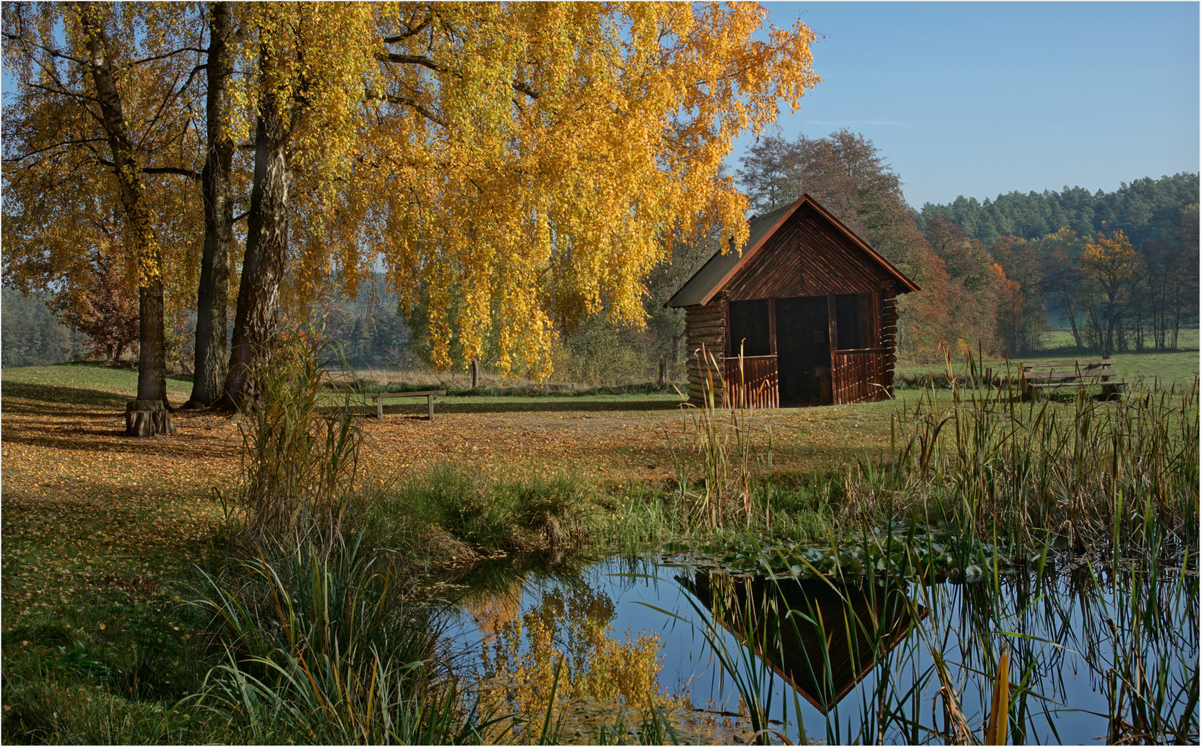 Landliche Idylle Foto Bild Baume Teich Natur Bilder Auf Fotocommunity