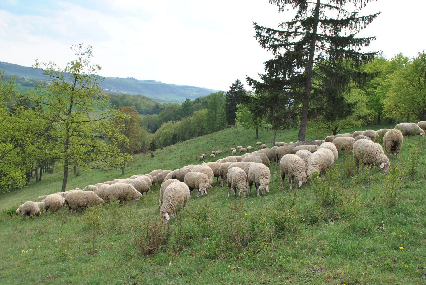 Ländliche Idylle