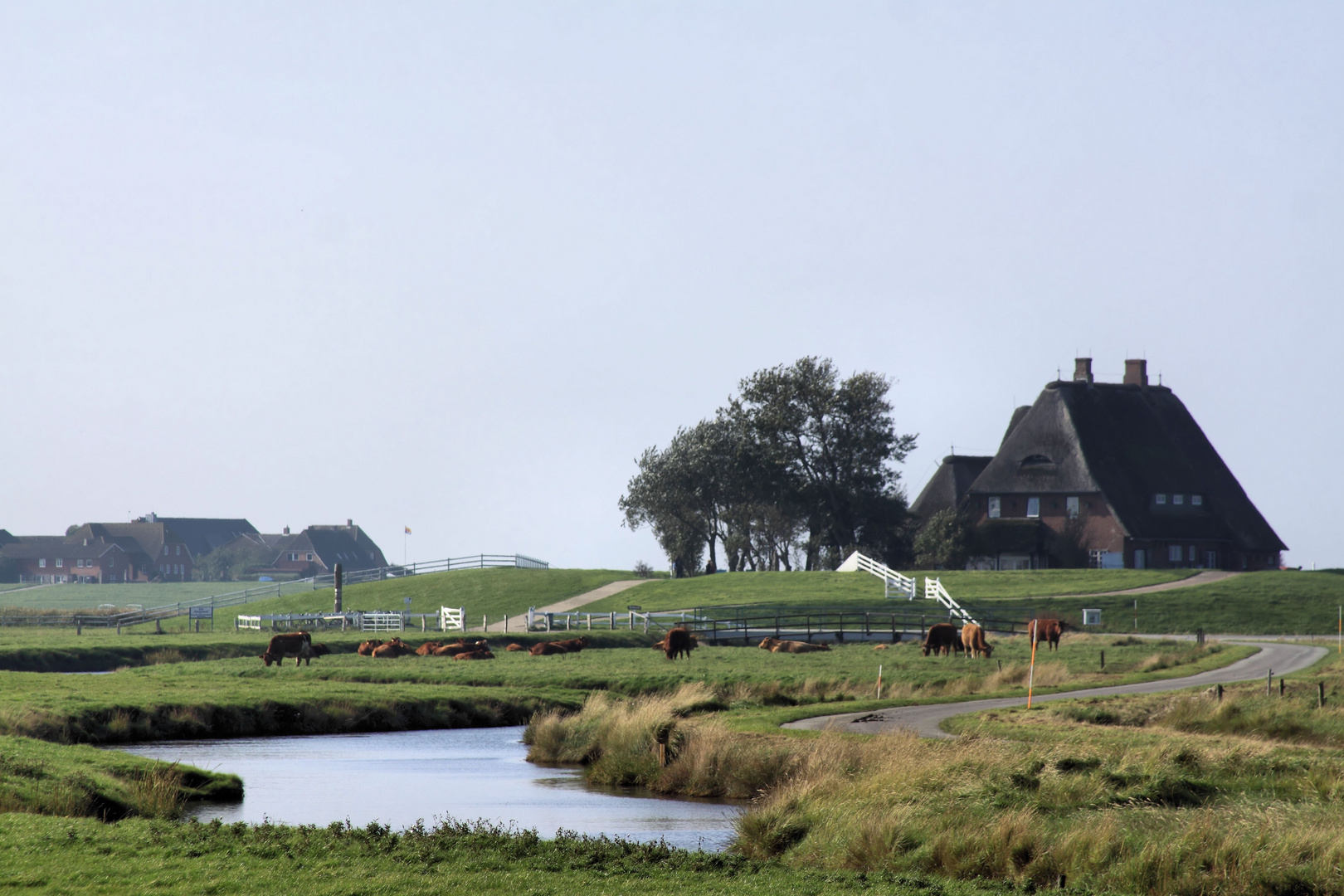 Ländliche Idylle Hallig Hooge