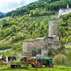 Ländliche Idylle im Vinschgau