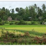 Ländliche Idylle - Kampot, Kambodscha