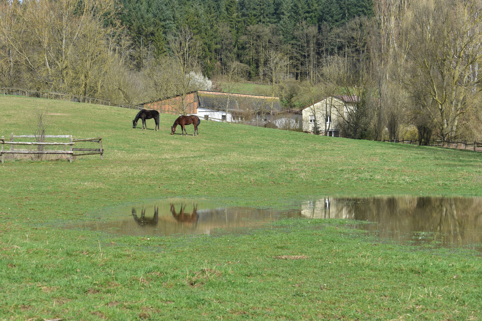 Ländliche Idylle - zum Spiegeltag 17.03.2020