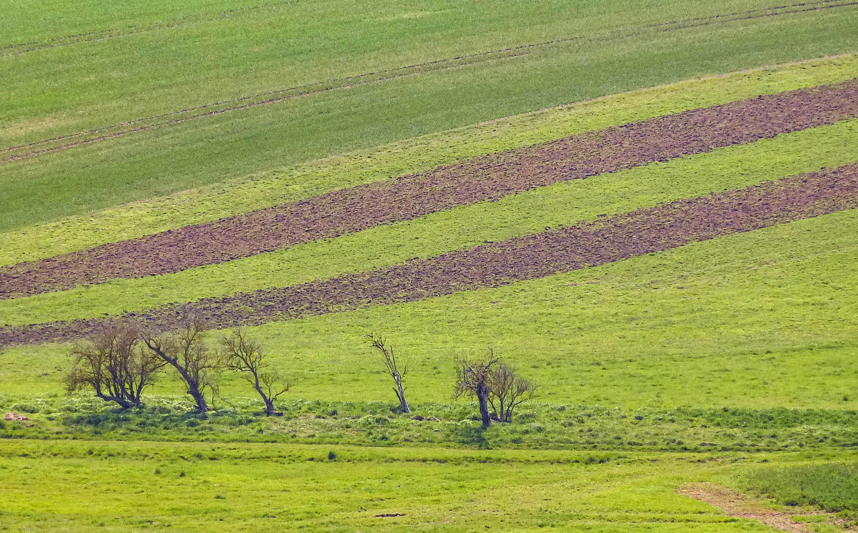 Ländliche Landschaftsgestaltung 