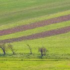 Ländliche Landschaftsgestaltung 