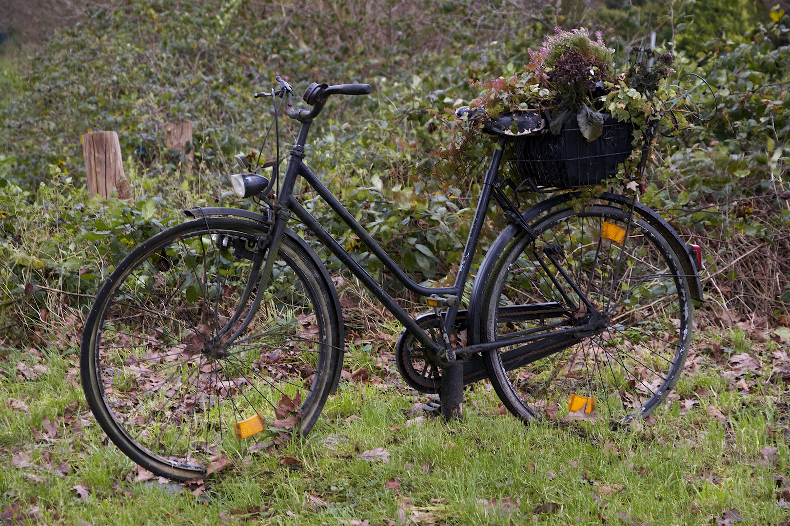 ....ländliche Radtour.