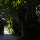 ländliche Stimmung im Stadtgebiet Münchens