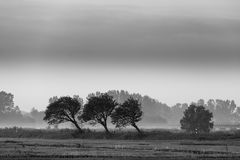 ländliche Windflüchter