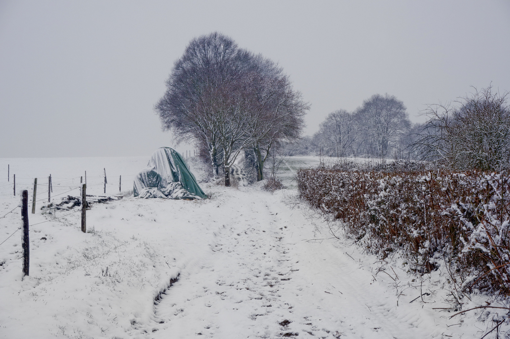 Ländliche Winter-Tristesse