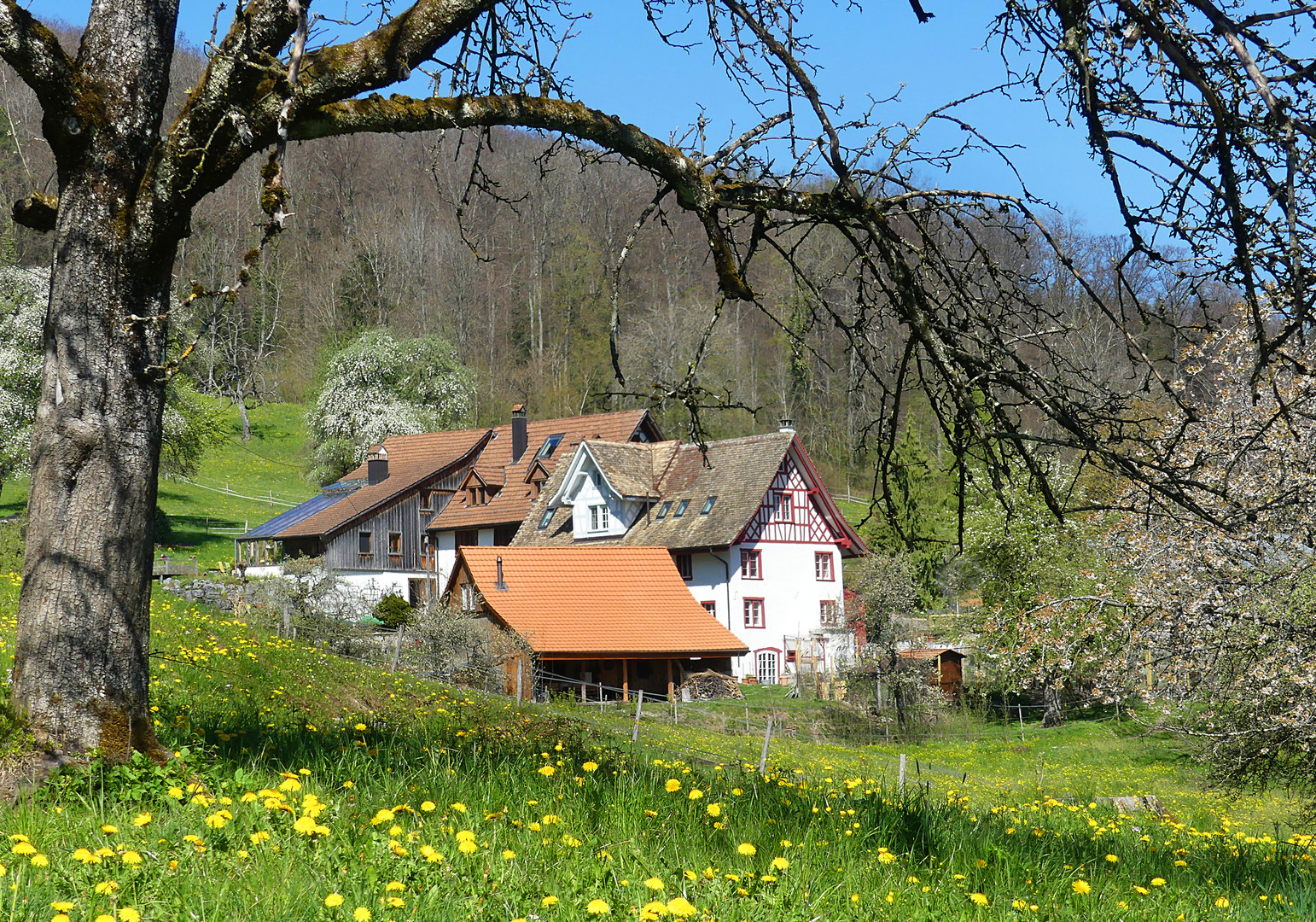 Ländlicher Durchblick