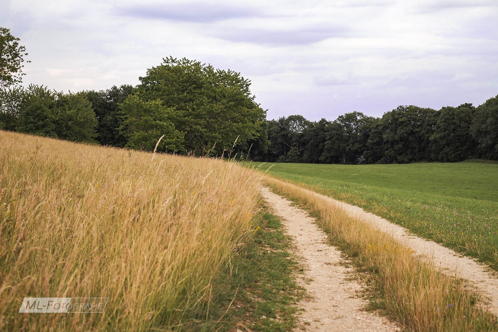 Ländlicher Weg 022