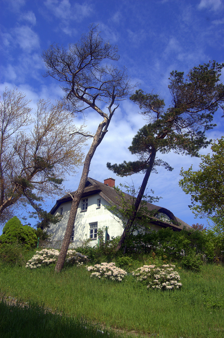 Ländliches Haus in Kloster