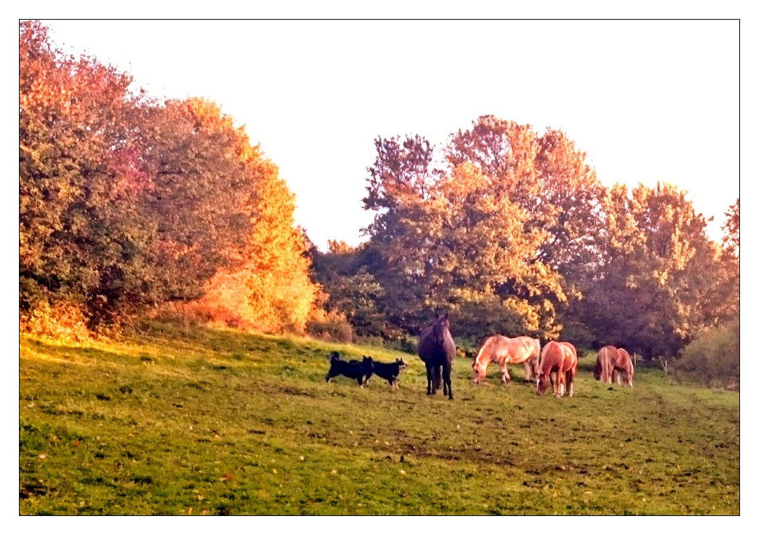 ländliches Idyll