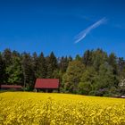 Ländliches Idyll