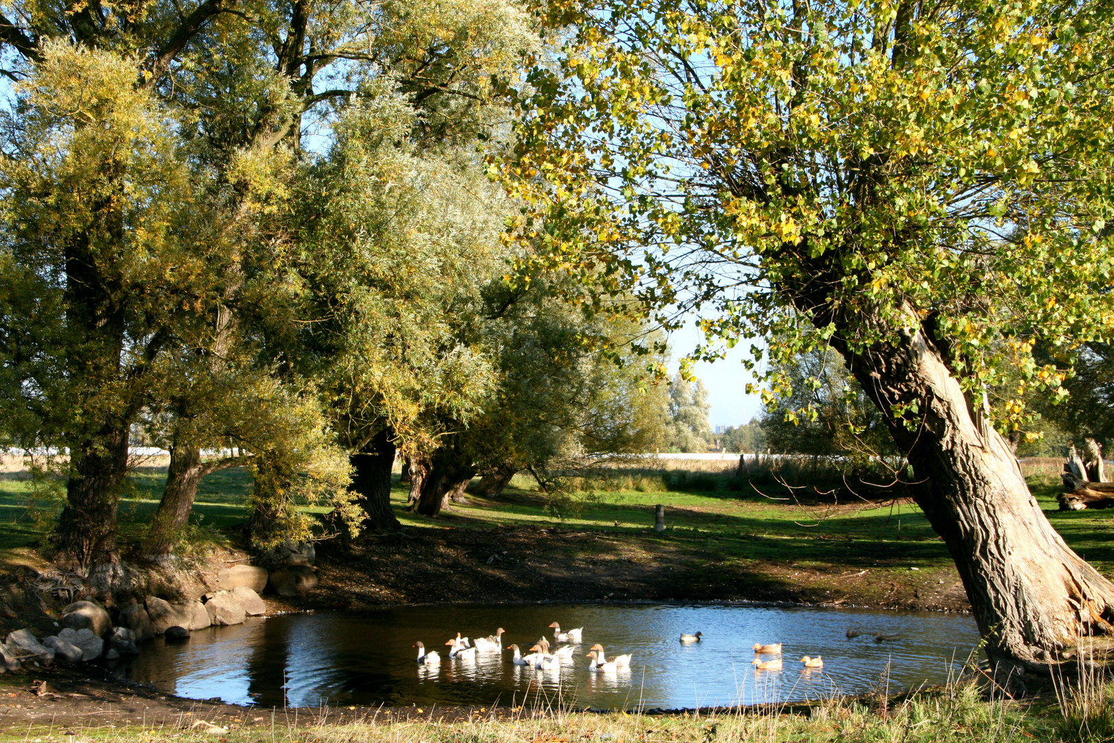 ländliches Idyll...